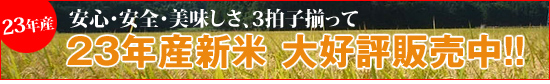23�N�Y�V�� ��D�]�̔����I