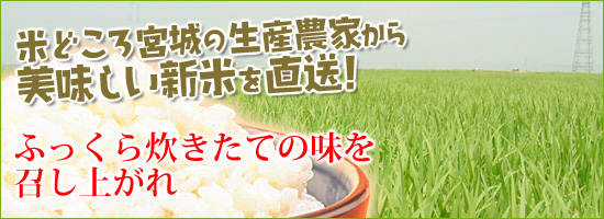 無農薬・有機栽培米を米どころ宮城から直送します