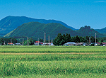 宮城県登米市は田畑あふれる自然豊かな町です。