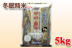 ~āuāi͂΂jv5kg
