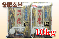 ~āuāi͂΂jv10kg
