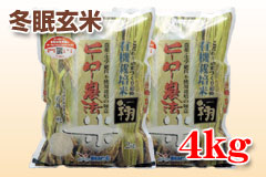 ~āuāi͂΂jv4kg