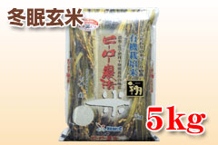 ~āuāi͂΂jv5kg